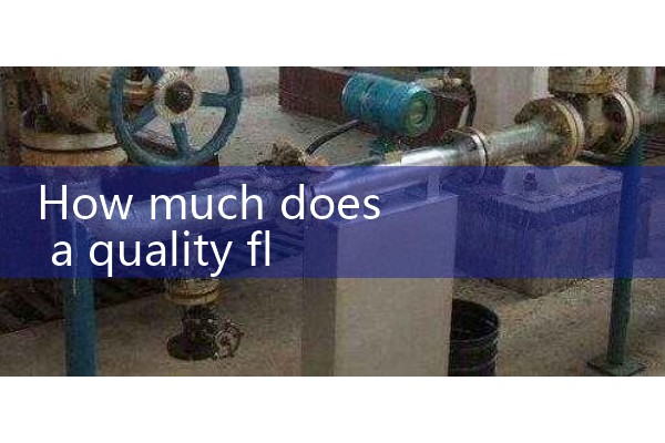 How much does a quality flow meter cost